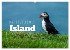 Naturerlebnis Island (Wandkalender 2025 DIN A2 quer), CALVENDO Monatskalender