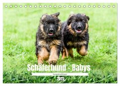 Langstockhaar - Schäferhund - Babys (Tischkalender 2025 DIN A5 quer), CALVENDO Monatskalender