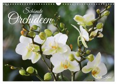 Schönste Orchideen (Wandkalender 2025 DIN A3 quer), CALVENDO Monatskalender