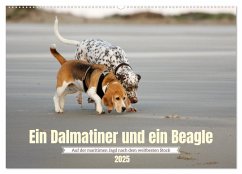 Ein Dalmatiner und ein Beagle - Auf der maritimen Jagd nach dem weltbesten Stock (Wandkalender 2025 DIN A2 quer), CALVENDO Monatskalender - Calvendo;Tapper, Daniela