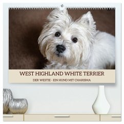 WEST HIGHLAND WHITE TERRIER - DER WESTIE - EIN HUND MIT CHARISMA (hochwertiger Premium Wandkalender 2025 DIN A2 quer), Kunstdruck in Hochglanz - Calvendo;Rohde, Angela