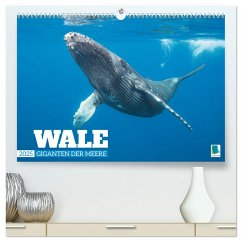 Wale: Giganten der Meere (hochwertiger Premium Wandkalender 2025 DIN A2 quer), Kunstdruck in Hochglanz