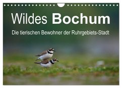 Wildes Bochum (Wandkalender 2025 DIN A4 quer), CALVENDO Monatskalender