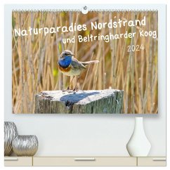 Naturparadies Nordstrand und Beltringharder Koog (hochwertiger Premium Wandkalender 2025 DIN A2 quer), Kunstdruck in Hochglanz