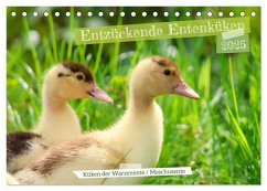 Entzückende Entenküken (Tischkalender 2025 DIN A5 quer), CALVENDO Monatskalender - Calvendo;Löwer, Sabine