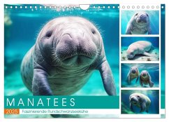 Manatees. Faszinierende Rundschwanzseekühe (Wandkalender 2025 DIN A4 quer), CALVENDO Monatskalender