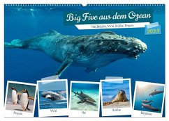 Big Five aus dem Ozean Hai, Delphin, Wal, Robbe, Pinguin (Wandkalender 2025 DIN A2 quer), CALVENDO Monatskalender