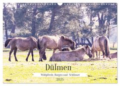 Dülmen - Wildpferde, Burgen und Schlösser (Wandkalender 2025 DIN A3 quer), CALVENDO Monatskalender Dülmen - Wildpferde, Burgen und Schlösser (Wandkalender 2025 DIN A3 quer), CALVENDO Monatskalender