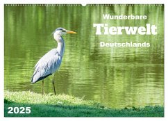 Wunderbare Tierwelt Deutschlands (Wandkalender 2025 DIN A2 quer), CALVENDO Monatskalender