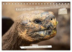 Die Riesenschildkröten der Galapagos Inseln (Tischkalender 2025 DIN A5 quer), CALVENDO Monatskalender