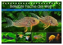 Beliebte Fische der Welt (Tischkalender 2025 DIN A5 quer), CALVENDO Monatskalender