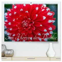 Im Herzen der Dahlie (hochwertiger Premium Wandkalender 2025 DIN A2 quer), Kunstdruck in Hochglanz