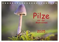 Pilze vor der Makrolinse 2025 (Tischkalender 2025 DIN A5 quer), CALVENDO Monatskalender - Calvendo;Pompsch, Heinz