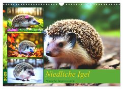 Niedliche Igel (Wandkalender 2025 DIN A3 quer), CALVENDO Monatskalender