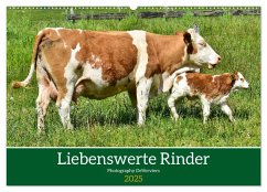 Liebenswerte Rinder (Wandkalender 2025 DIN A2 quer), CALVENDO Monatskalender - Calvendo;Glineur, Jean-Louis