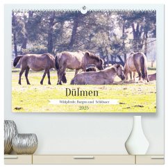 Dülmen - Wildpferde, Burgen und Schlösser (hochwertiger Premium Wandkalender 2025 DIN A2 quer), Kunstdruck in Hochglanz Dülmen - Wildpferde, Burgen und Schlösser (hochwertiger Premium Wandkalender 2025 DIN A2 quer), Kunstdruck in Hochglanz