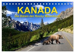 KANADA - Die Bären der Rocky Mountains (Tischkalender 2025 DIN A5 quer), CALVENDO Monatskalender - Calvendo;Pfaff, Hans-Gerhard