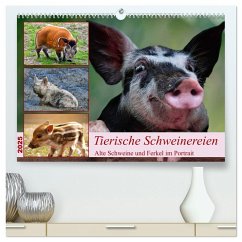 Tierische Schweinereien (hochwertiger Premium Wandkalender 2025 DIN A2 quer), Kunstdruck in Hochglanz - Calvendo;Kleemann, Claudia