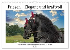 Friesen - elegant und kraftvoll (Wandkalender 2025 DIN A3 quer), CALVENDO Monatskalender