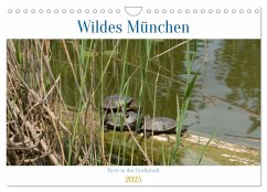 Wildes München (Wandkalender 2025 DIN A4 quer), CALVENDO Monatskalender - Calvendo;Franz, Ingrid