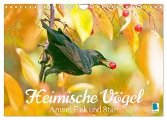 Amsel, Fink und Star: Heimische Vögel (Wandkalender 2025 DIN A4 quer), CALVENDO Monatskalender