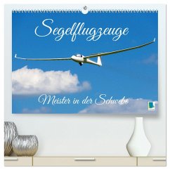 Meister in der Schwebe: Segelflugzeuge (hochwertiger Premium Wandkalender 2025 DIN A2 quer), Kunstdruck in Hochglanz