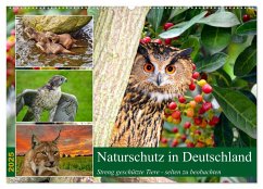 Naturschutz in Deutschland (Wandkalender 2025 DIN A2 quer), CALVENDO Monatskalender