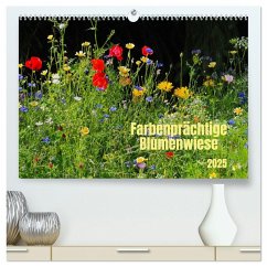 Farbenprächtige Blumenwiese (hochwertiger Premium Wandkalender 2025 DIN A2 quer), Kunstdruck in Hochglanz - Calvendo;Seidel, Thilo