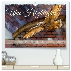 Uhu Highlights (hochwertiger Premium Wandkalender 2025 DIN A2 quer), Kunstdruck in Hochglanz