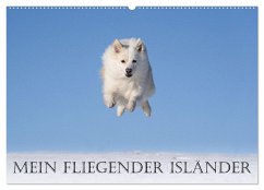 Mein fliegender Isländer (Wandkalender 2025 DIN A2 quer), CALVENDO Monatskalender