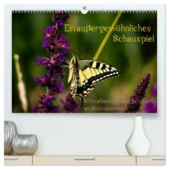 Ein außergewöhnliches Schauspiel (hochwertiger Premium Wandkalender 2025 DIN A2 quer), Kunstdruck in Hochglanz - Calvendo;Ola Feix, Eva