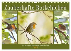 Zauberhafte Rotkehlchen (Wandkalender 2025 DIN A3 quer), CALVENDO Monatskalender