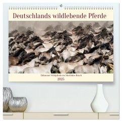 Deutschlands wildlebende Pferde (hochwertiger Premium Wandkalender 2025 DIN A2 quer), Kunstdruck in Hochglanz - Calvendo;René Grossmann, Marcel