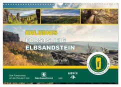 Erlebnis Forststeig Elbsandstein (Wandkalender 2025 DIN A3 quer), CALVENDO Monatskalender