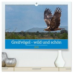 Greifvögel - wild und schön (hochwertiger Premium Wandkalender 2025 DIN A2 quer), Kunstdruck in Hochglanz - Calvendo;Pohl, Bruno