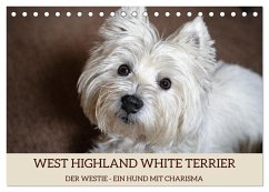 WEST HIGHLAND WHITE TERRIER - DER WESTIE - EIN HUND MIT CHARISMA (Tischkalender 2025 DIN A5 quer), CALVENDO Monatskalender