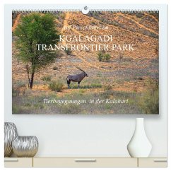 Auf Pirschfahrt im Kgalagadi Transfrontier Park (hochwertiger Premium Wandkalender 2025 DIN A2 quer), Kunstdruck in Hochglanz - Calvendo;Werner Altner, Dr.