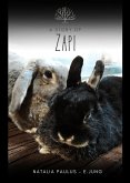 A story of Zapi (eBook, ePUB)