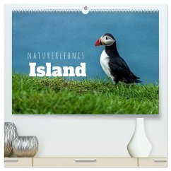 Naturerlebnis Island (hochwertiger Premium Wandkalender 2025 DIN A2 quer), Kunstdruck in Hochglanz