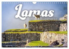 Lamas in Südamerika (Wandkalender 2025 DIN A4 quer), CALVENDO Monatskalender