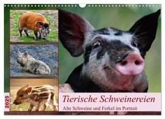 Tierische Schweinereien (Wandkalender 2025 DIN A3 quer), CALVENDO Monatskalender