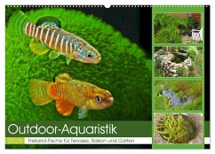 Outdoor-Aquaristik (Wandkalender 2025 DIN A2 quer), CALVENDO Monatskalender