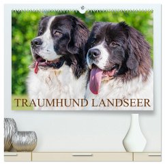 Traumhund Landseer (hochwertiger Premium Wandkalender 2025 DIN A2 quer), Kunstdruck in Hochglanz