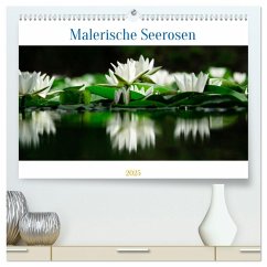 Malerische Seerosen (hochwertiger Premium Wandkalender 2025 DIN A2 quer), Kunstdruck in Hochglanz