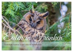 Eulen in Franken (Wandkalender 2025 DIN A2 quer), CALVENDO Monatskalender - Calvendo;Hetzel, Jennifer