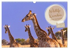 Wildlife Namibia - Etosha und Kalahari (Wandkalender 2025 DIN A3 quer), CALVENDO Monatskalender - Calvendo;Früh, Dorothea