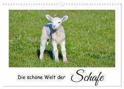 Die schöne Welt der Schafe (Wandkalender 2025 DIN A3 quer), CALVENDO Monatskalender