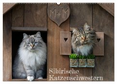 Maui und Molokai - Sibirische Katzenschwestern (Wandkalender 2025 DIN A2 quer), CALVENDO Monatskalender - Calvendo;Danis, Peter