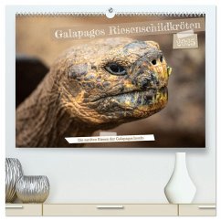 Die Riesenschildkröten der Galapagos Inseln (hochwertiger Premium Wandkalender 2025 DIN A2 quer), Kunstdruck in Hochglanz