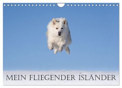 Mein fliegender Isländer (Wandkalender 2025 DIN A4 quer), CALVENDO Monatskalender - Calvendo;Scheurer, Monika